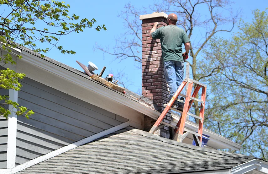 Chimney & Fireplace Inspections Services in La Vergne, TN